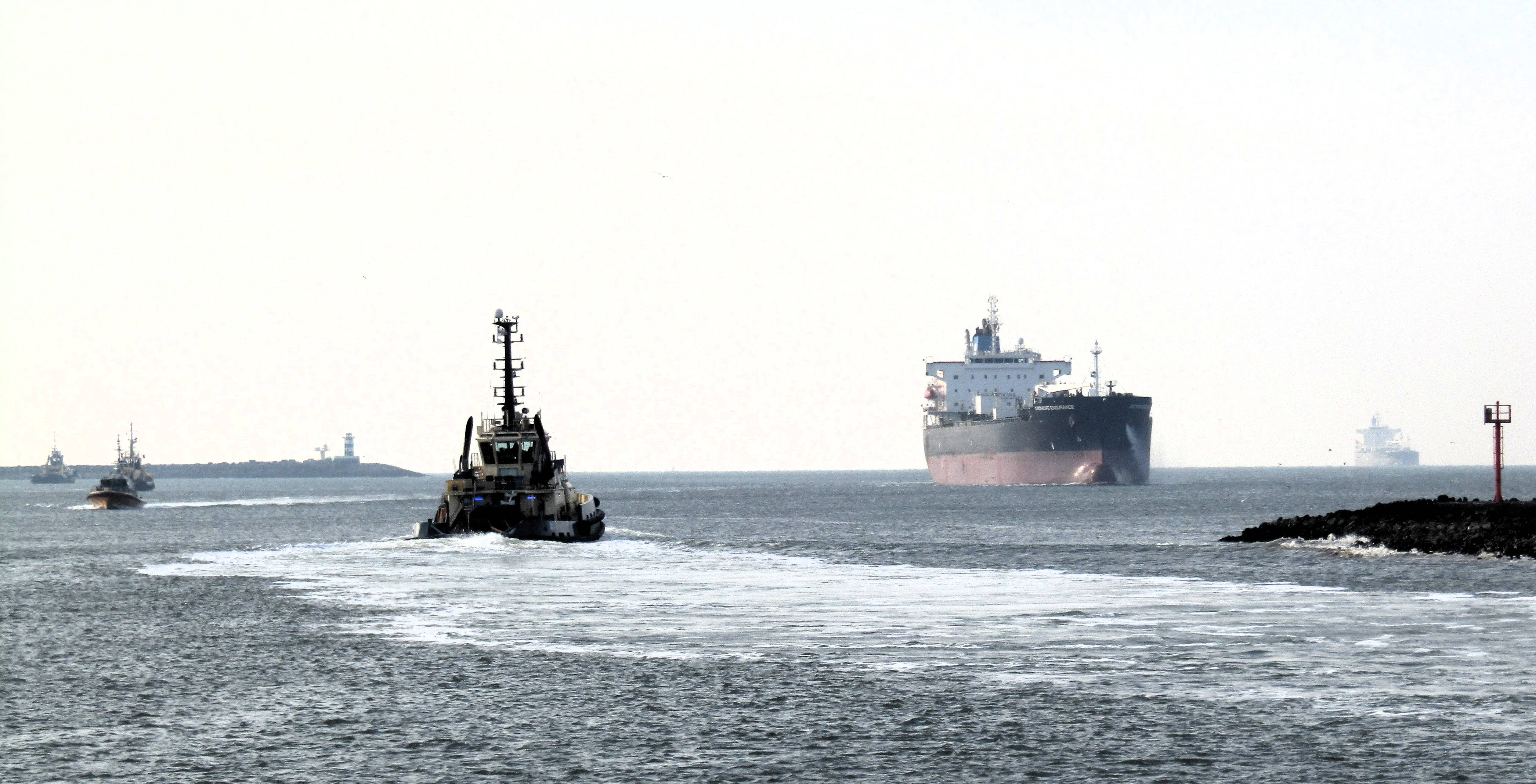 Pieren IJmuiden   18-02-25 